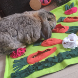 Snuffle Mat