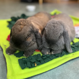Snuffle Mat