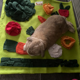 Snuffle Mat