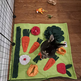 Snuffle Mat
