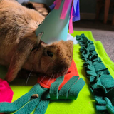 Snuffle Mat