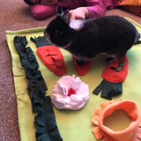 Snuffle Mat