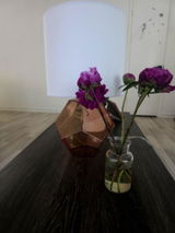 AndriuG review photo