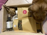 Eleonora L. review photo
