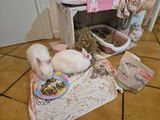 Antonella C. review photo