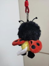 SanSi** review photo