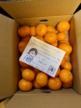&nbsp; review photo