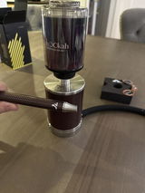Darjen Hasanaj review photo
