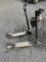 Harley review photo