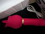dharmensh review photo