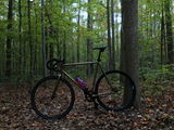 Tobias Grigg review photo