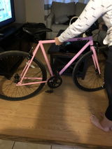 Monica review photo