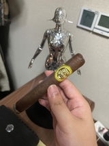 leon xv review photo