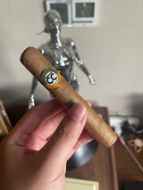 leon xv review photo