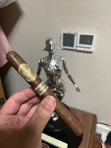 leon xv review photo