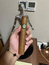 leon xv review photo