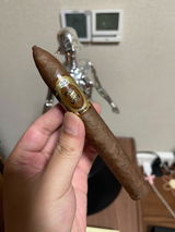 leon xv review photo