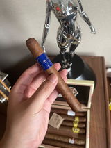 leon xv review photo