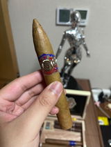 leon xv review photo