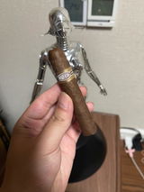 leon xv review photo