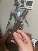 leon xv review photo