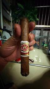 Anonymous review photo