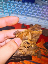 会得 王 review photo
