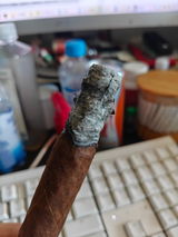 骆泉 review photo