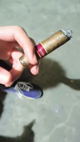 磊 张 review photo