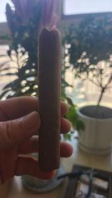 kaizhong review photo