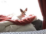 Ms. Zoe Smith from Portarlington Victoria review photo