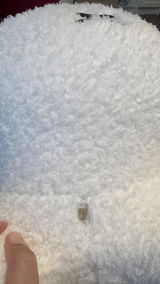 ミッフィ review photo