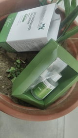 Lopa review photo