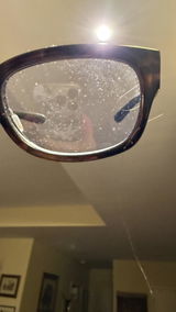 Anonymous review photo