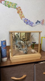 匿名希望 review photo