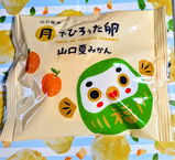 ちえ review photo