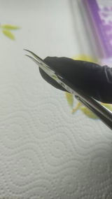 רחלי ג. review photo
