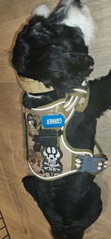 Cooper Outlaw review photo