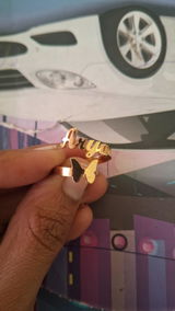Arya swami review photo
