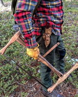 Dorian review photo