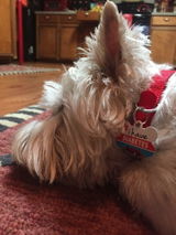 Natty B. review photo