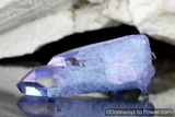 Rael review photo