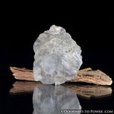 firial ayoub review photo