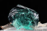 firial ayoub review photo