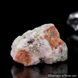 Shari Htabec review photo