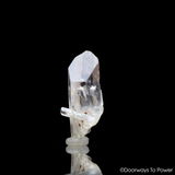 Prudence Blasdell review photo