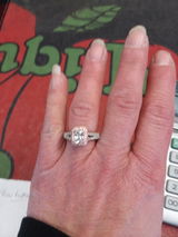 Sandi B. review photo
