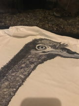 Timmy E review photo