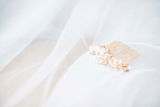 Lize Van Der Walt review photo
