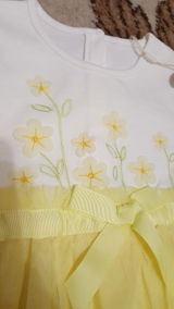 Domingo Frami review photo